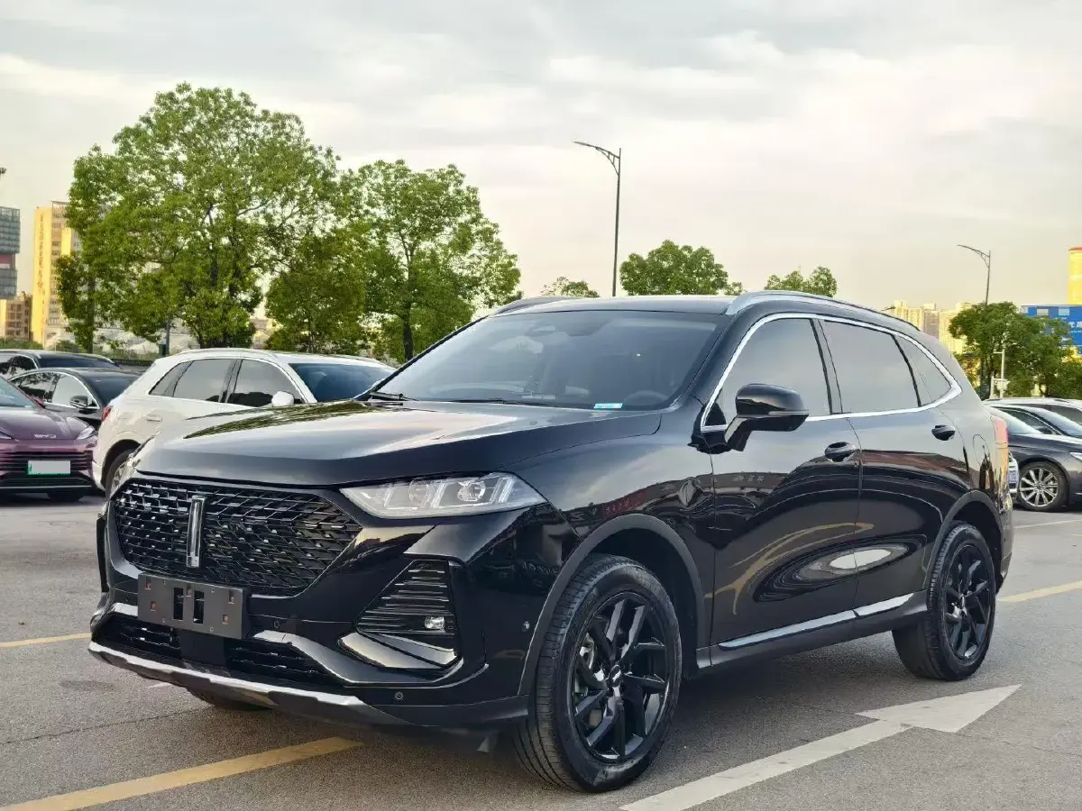 2022 WEY Latte 1.5T 156HP L4 2DHT PHEV 34KWH