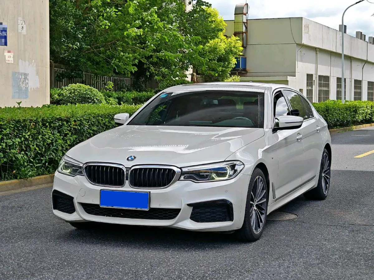 2020 BMW 5 Series 2.0T 252HP L4 8AT