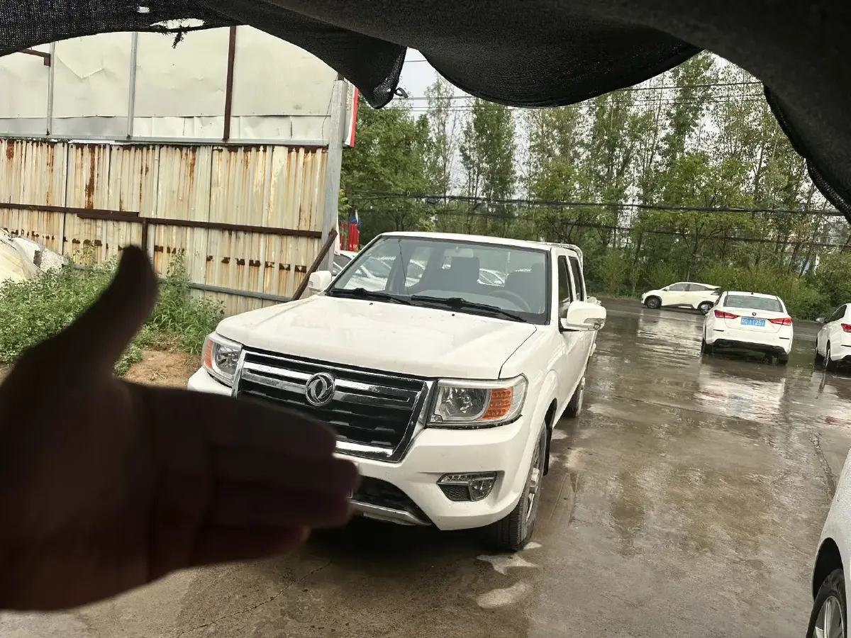 2018 Dongfeng RuiQi 2.4L 139HP L4 5MT