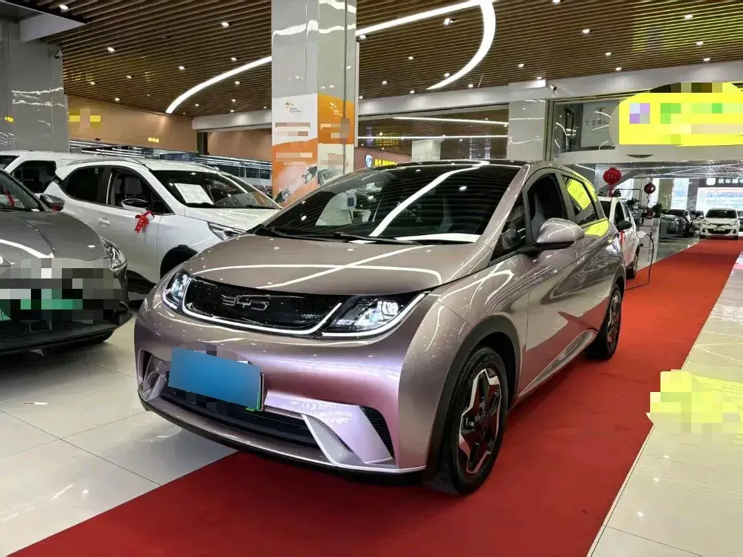 2021 BYD Dolphin BEV 44.9KWH