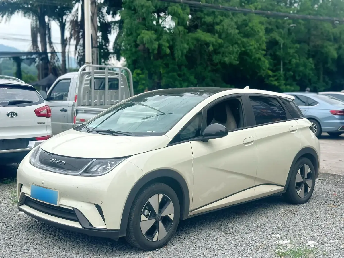 2023 BYD Dolphin BEV 44.928KWH