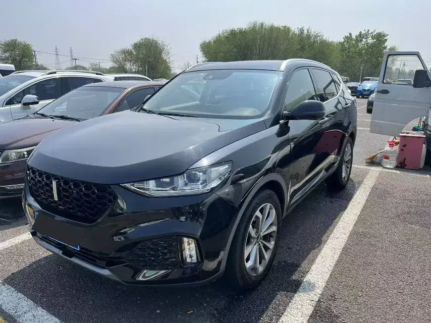 2018 WEY VV6 2.0T 197HP L4 7DCT