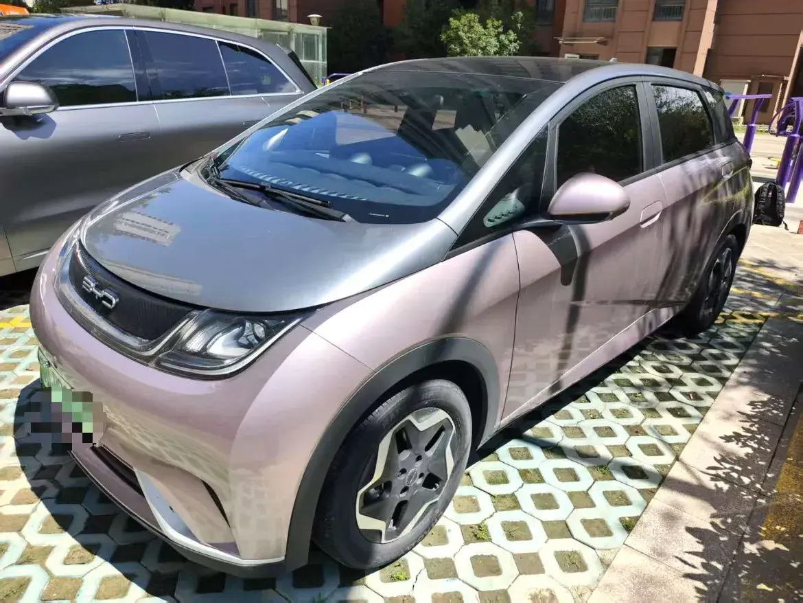2021 BYD Dolphin BEV 44.9KWH