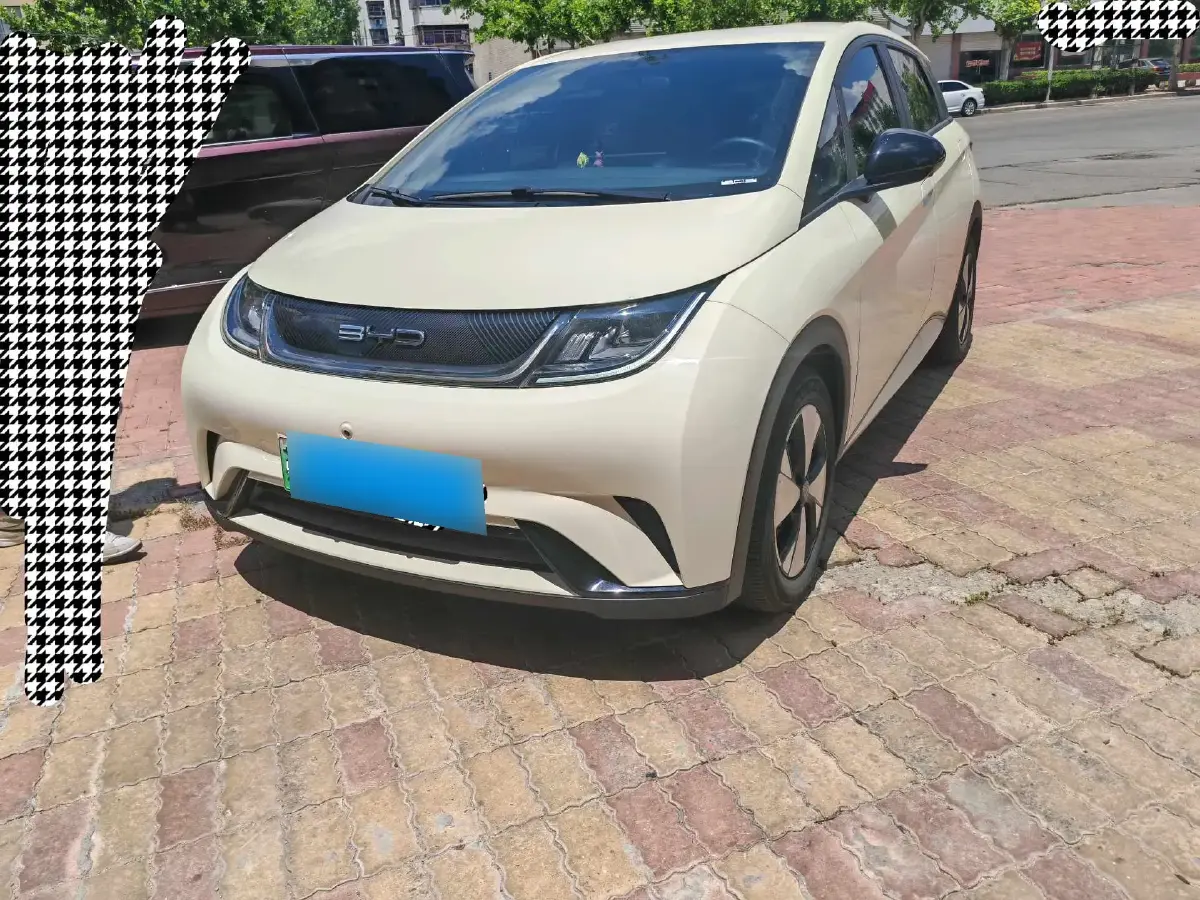 2023 BYD Dolphin BEV 44.928KWH