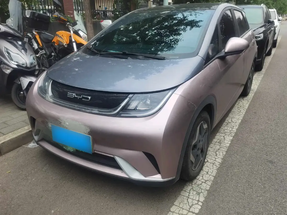 2021 BYD Dolphin BEV 44.9KWH