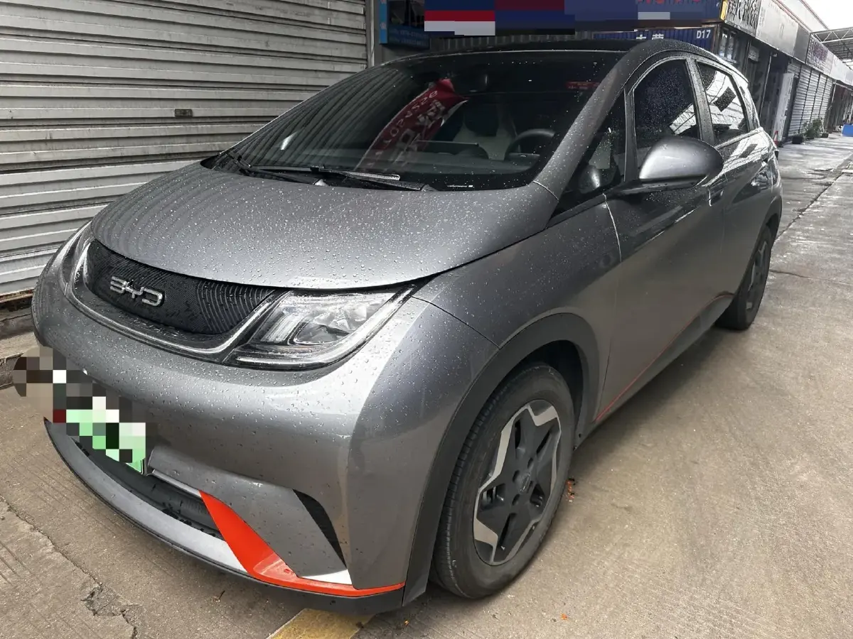 2021 BYD Dolphin BEV 44.9KWH