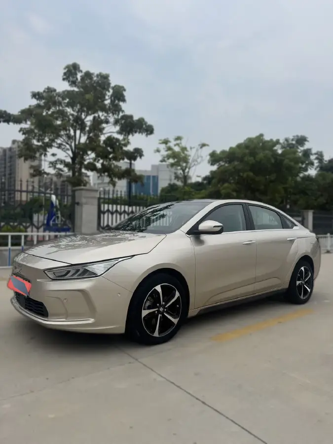 2019 Geometry A BEV 51.9KWH