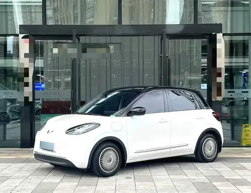 2023 WuLing BinGuo BEV 31.9KWH