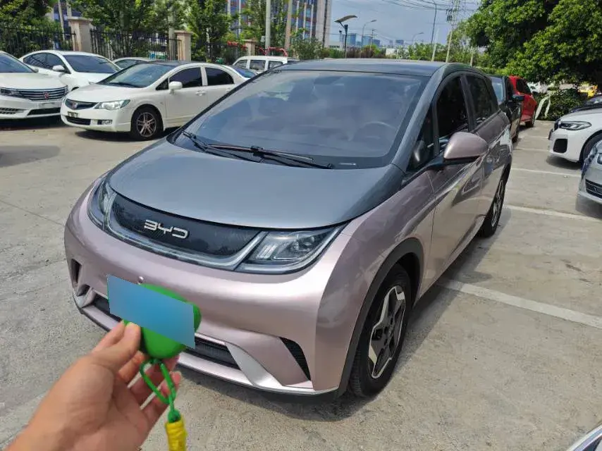 2021 BYD Dolphin BEV 44.9KWH
