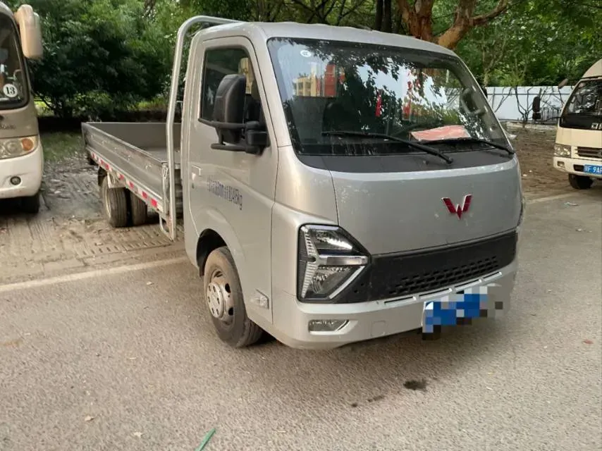 2023 WuLing Loong Truck 2.0L 136HP L4 5MT,autocango,china used car exporter,china ev exporter,chinese used car exporter,chinese used ev exporter