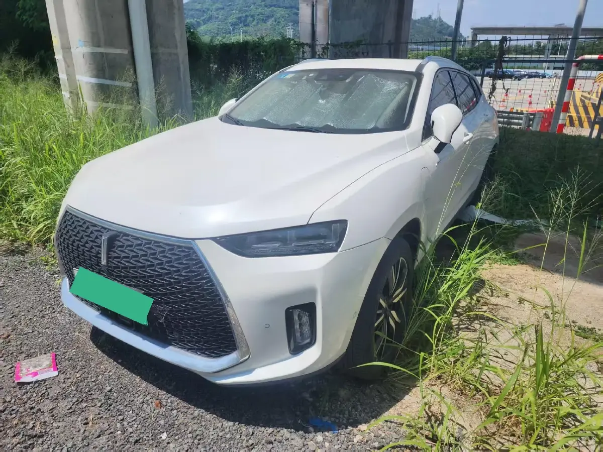 2018 WEY P8 2.0T 234HP L4 6DCT PHEV 12.96KWH