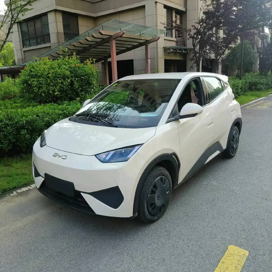 2025 BYD Seagull BEV 30.08KWH