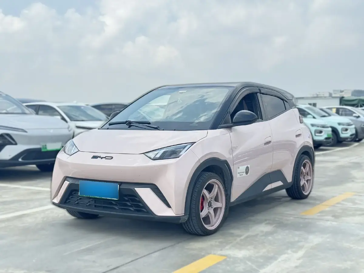2023 BYD Seagull BEV 38.88KWH
