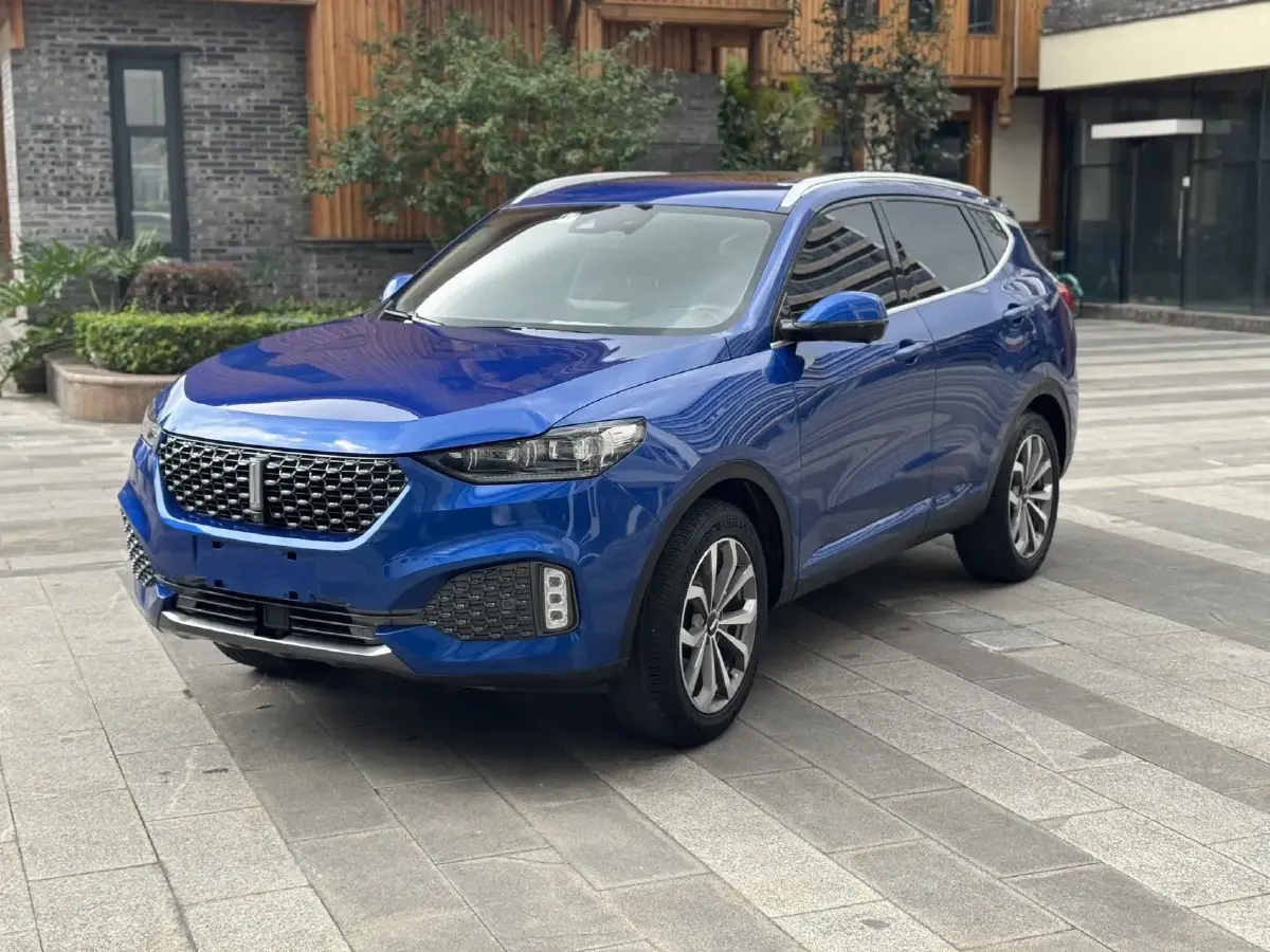 2020 WEY VV6 2.0T 227HP L4 7DCT