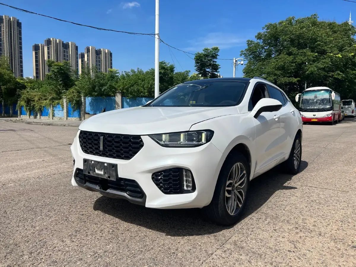 2019 WEY VV5 2.0T 224HP L4 7DCT