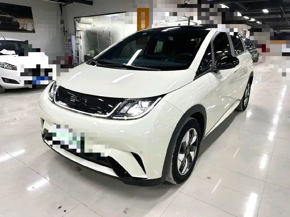2024 BYD Dolphin BEV 44.928KWH