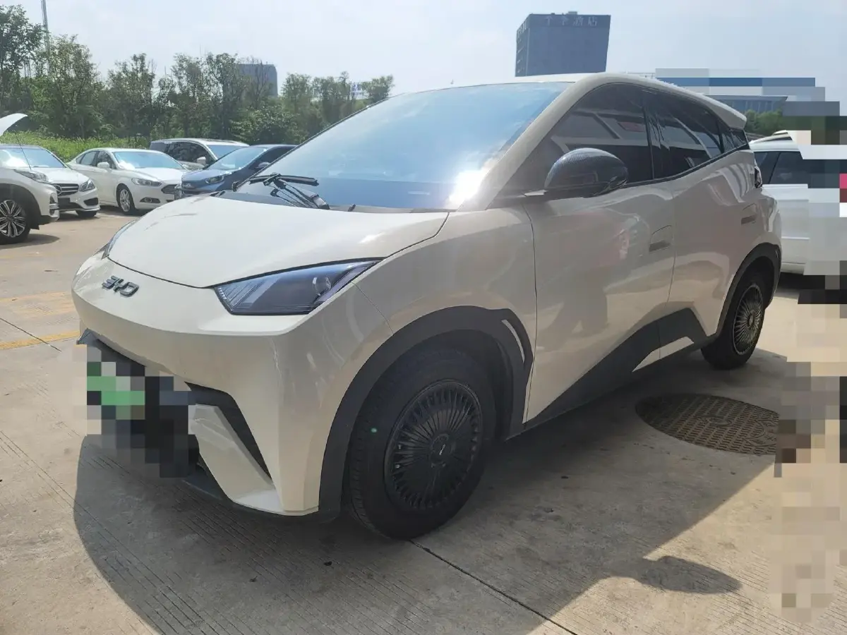 2024 BYD Seagull BEV 30.08KWH