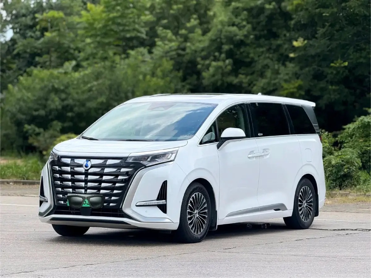 2022 Denza D9 1.5T 139HP L4 E-CVT PHEV 40.06KWH