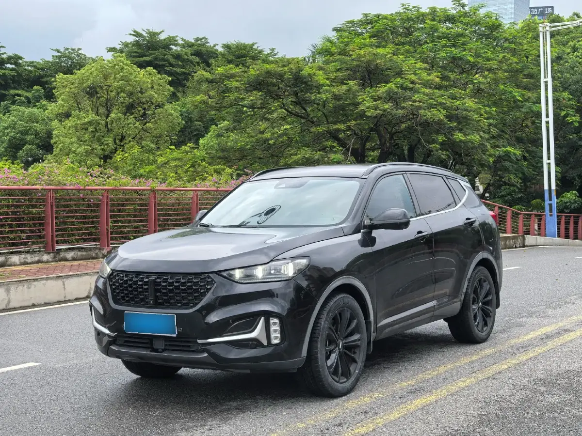 2021 WEY VV6 2.0T 227HP L4 7DCT