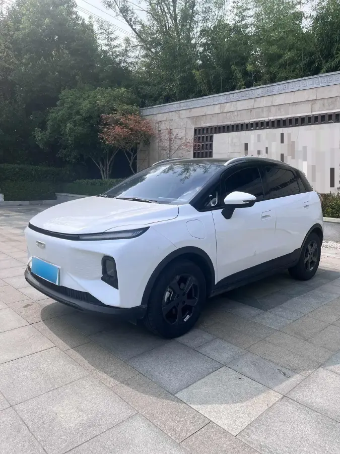 2024 Geometry E BEV 29.67KWH