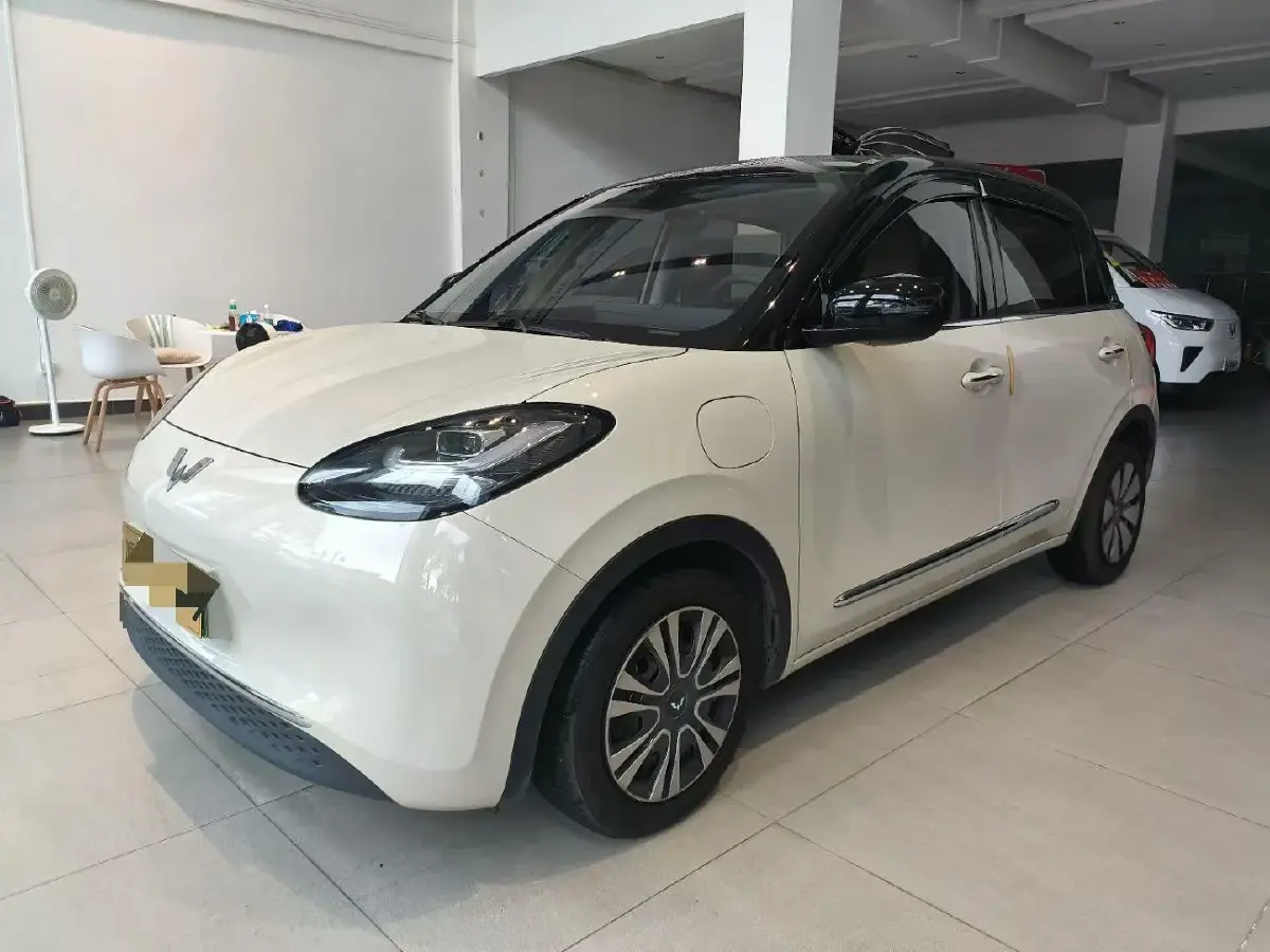 2023 WuLing BinGuo BEV 37.9KWH