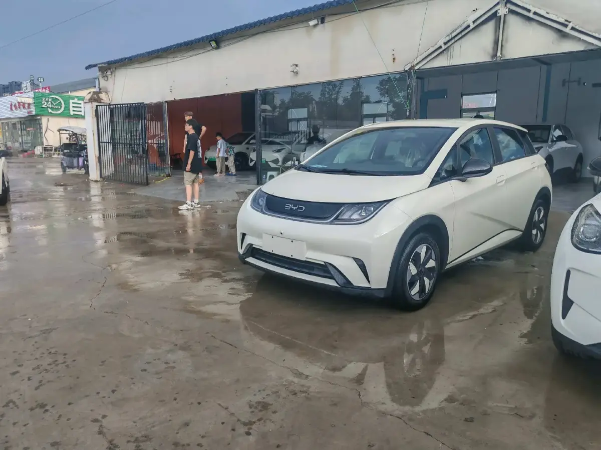 2025 BYD Dolphin BEV 44.928KWH