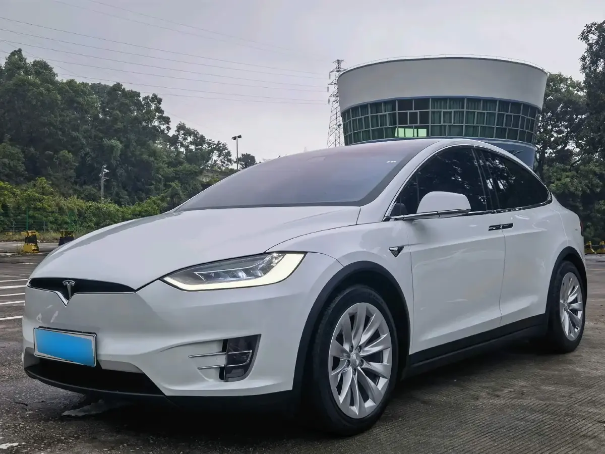 2019 Tesla Model X BEV 100KWH