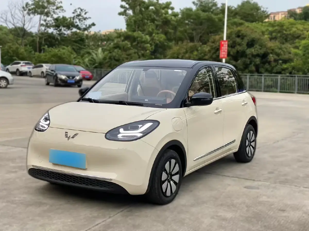 2025 WuLing BinGuo BEV