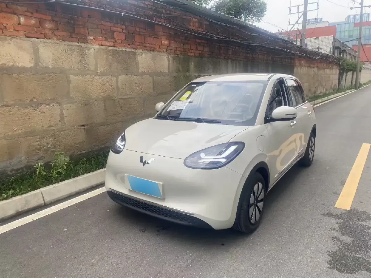 2025 WuLing BinGuo BEV