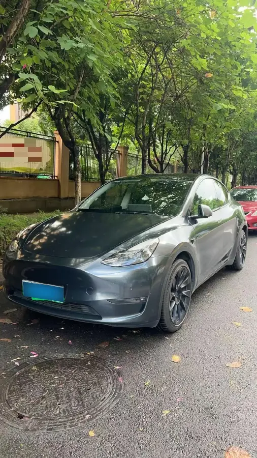 2021 Tesla Model Y BEV 76.8KWH