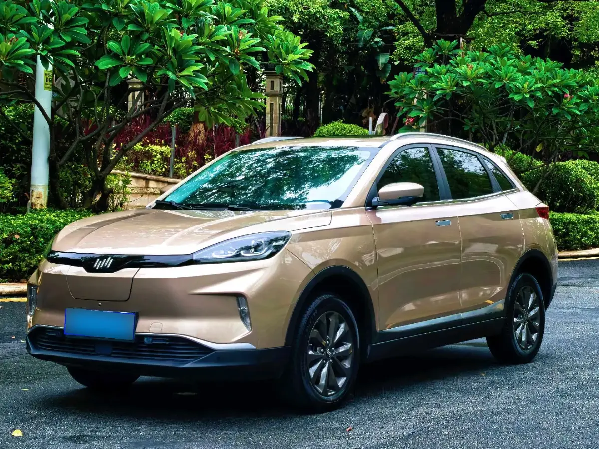 2018 Weltmeister EX5 BEV 45.99KWH