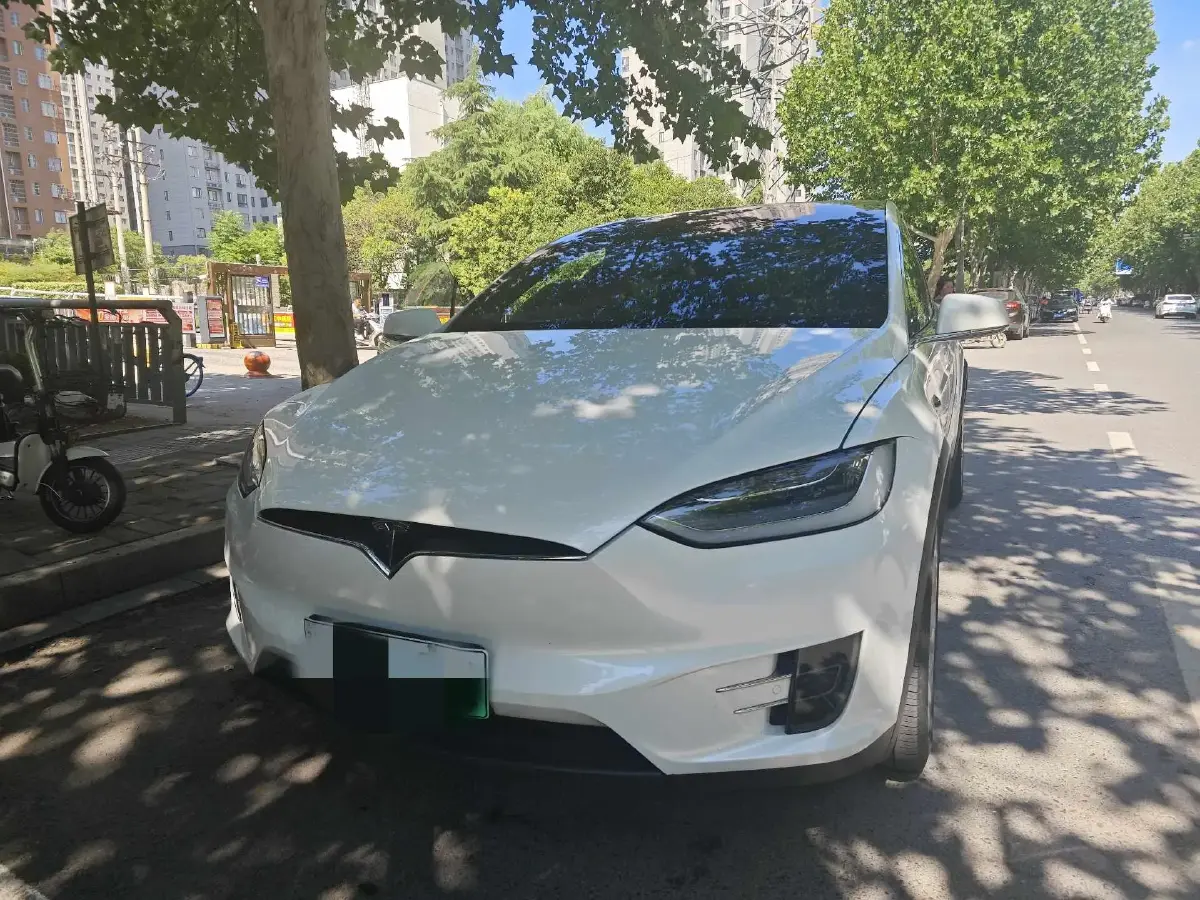 2019 Tesla Model X BEV 100KWH