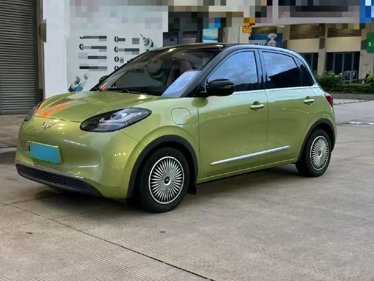 2023 WuLing BinGuo BEV 31.9KWH