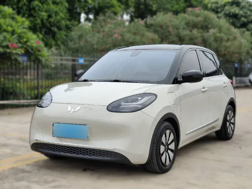 2023 WuLing BinGuo BEV 31.9KWH