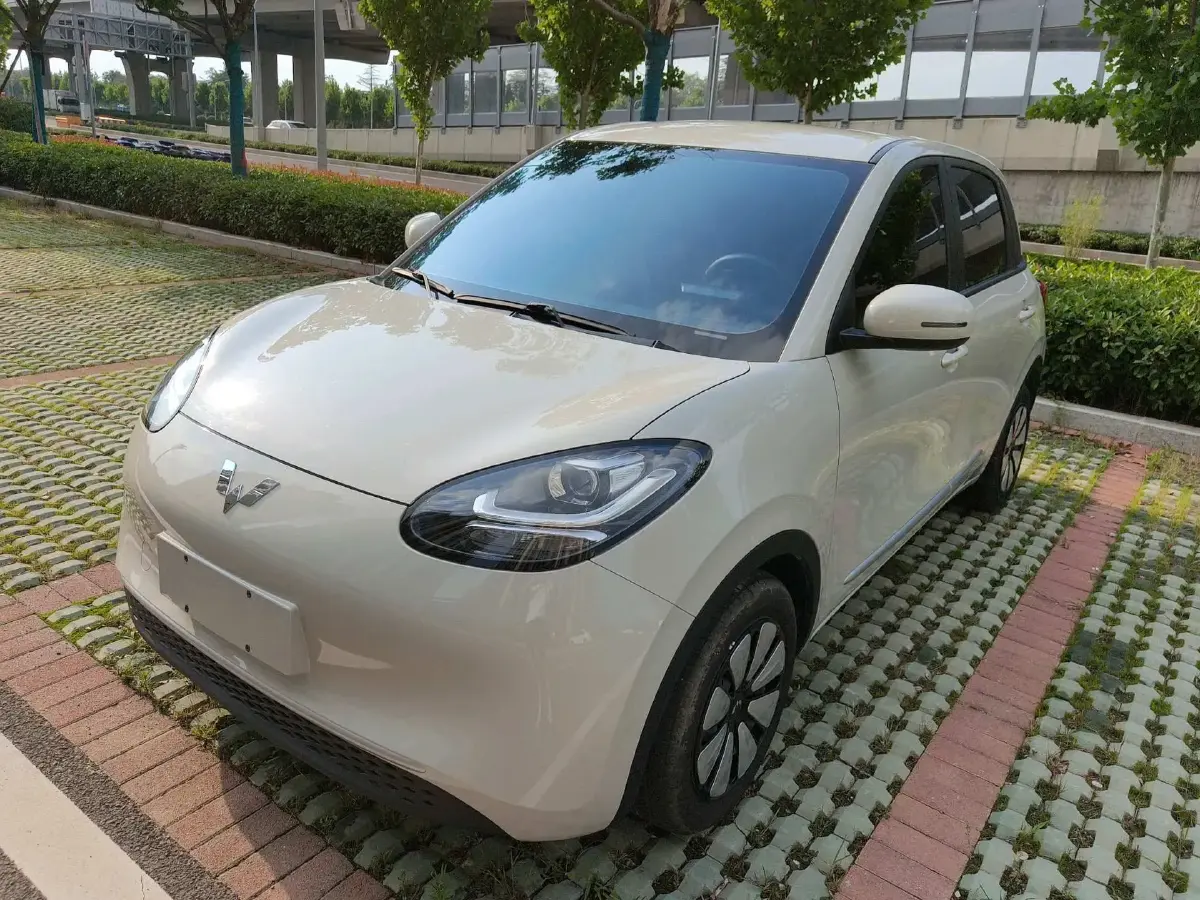 2023 WuLing BinGuo BEV 17.3KWH