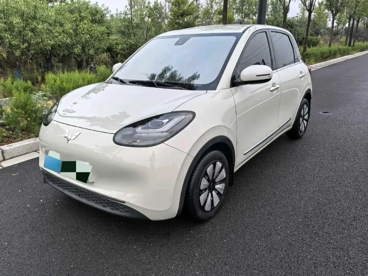 2023 WuLing BinGuo BEV 17.3KWH