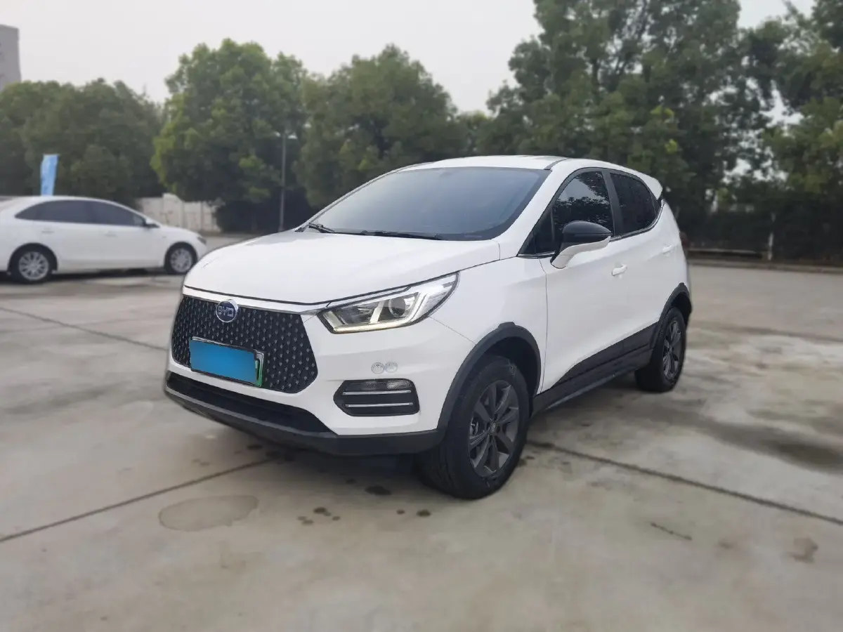 2019 BYD S2 BEV 40.62KWH