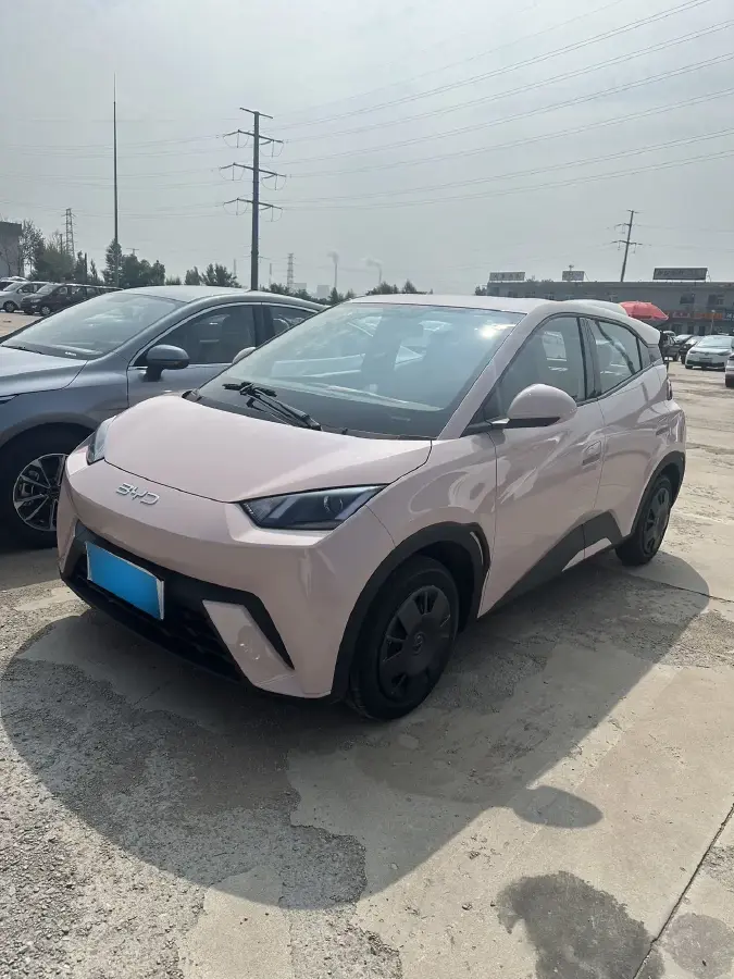 2025 BYD Seagull BEV 30.08KWH