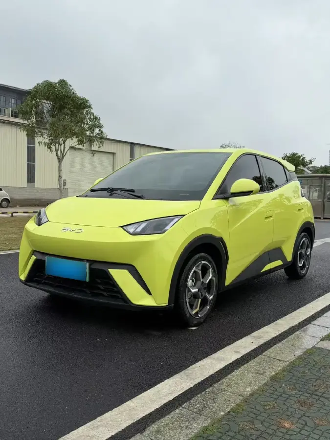 2024 BYD Seagull BEV 38.88KWH