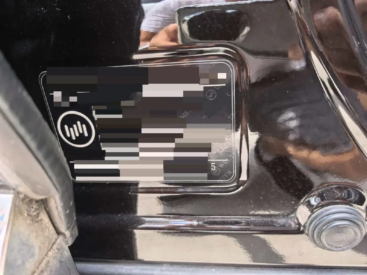 2020 Weltmeister EX6 BEV 69KWH,autocango,china used car exporter,china ev exporter,chinese used car exporter,chinese used ev exporter