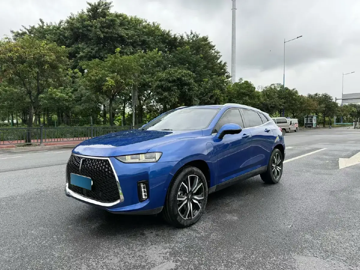 2018 WEY P8 2.0T 234HP L4 6DCT PHEV 12.96KWH