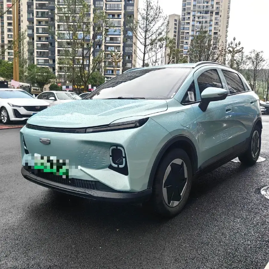 2024 Geometry E BEV 29.67KWH