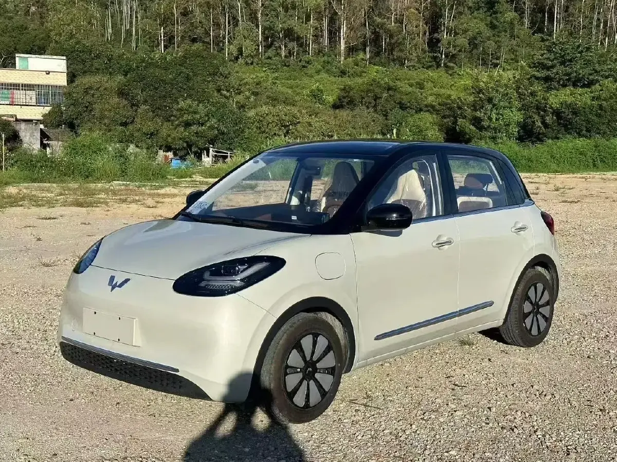 2025 WuLing BinGuo BEV