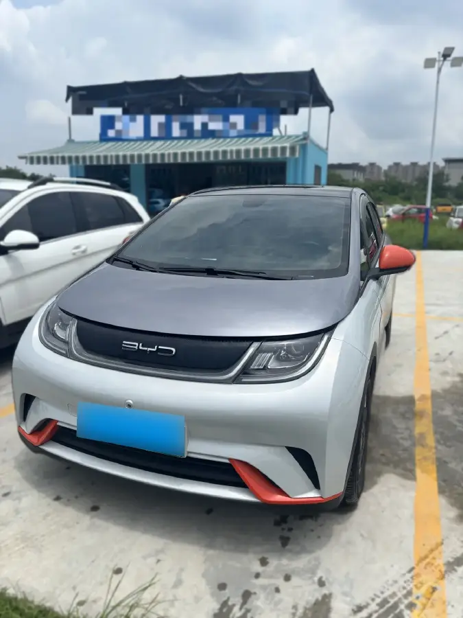 2021 BYD Dolphin BEV 44.9KWH