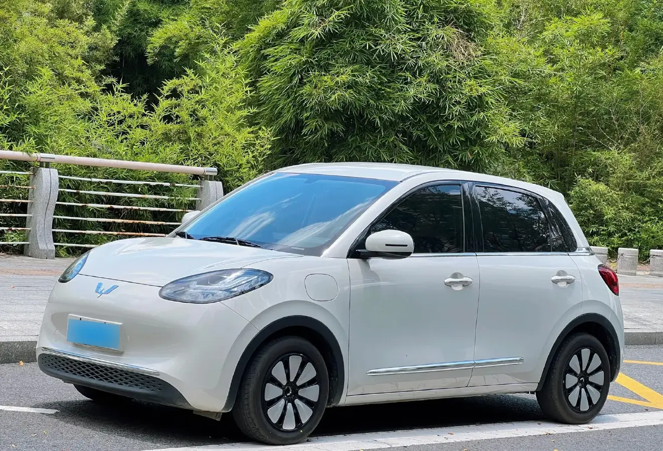 2023 WuLing BinGuo BEV 31.9KWH
