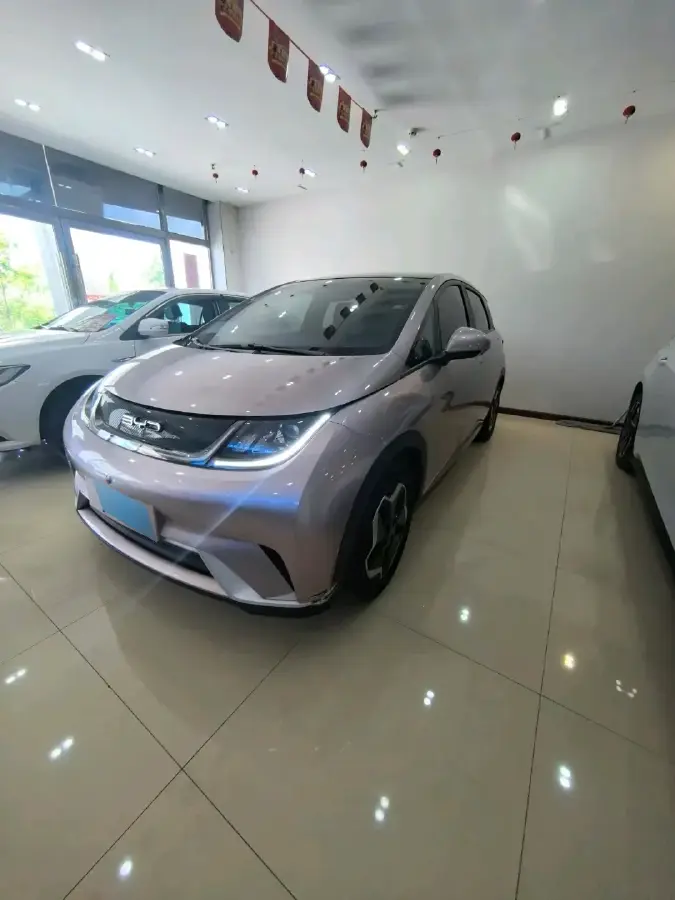 2021 BYD Dolphin BEV 44.9KWH