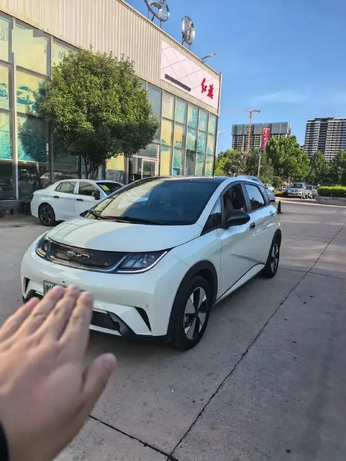 2023 BYD Dolphin BEV 44.928KWH