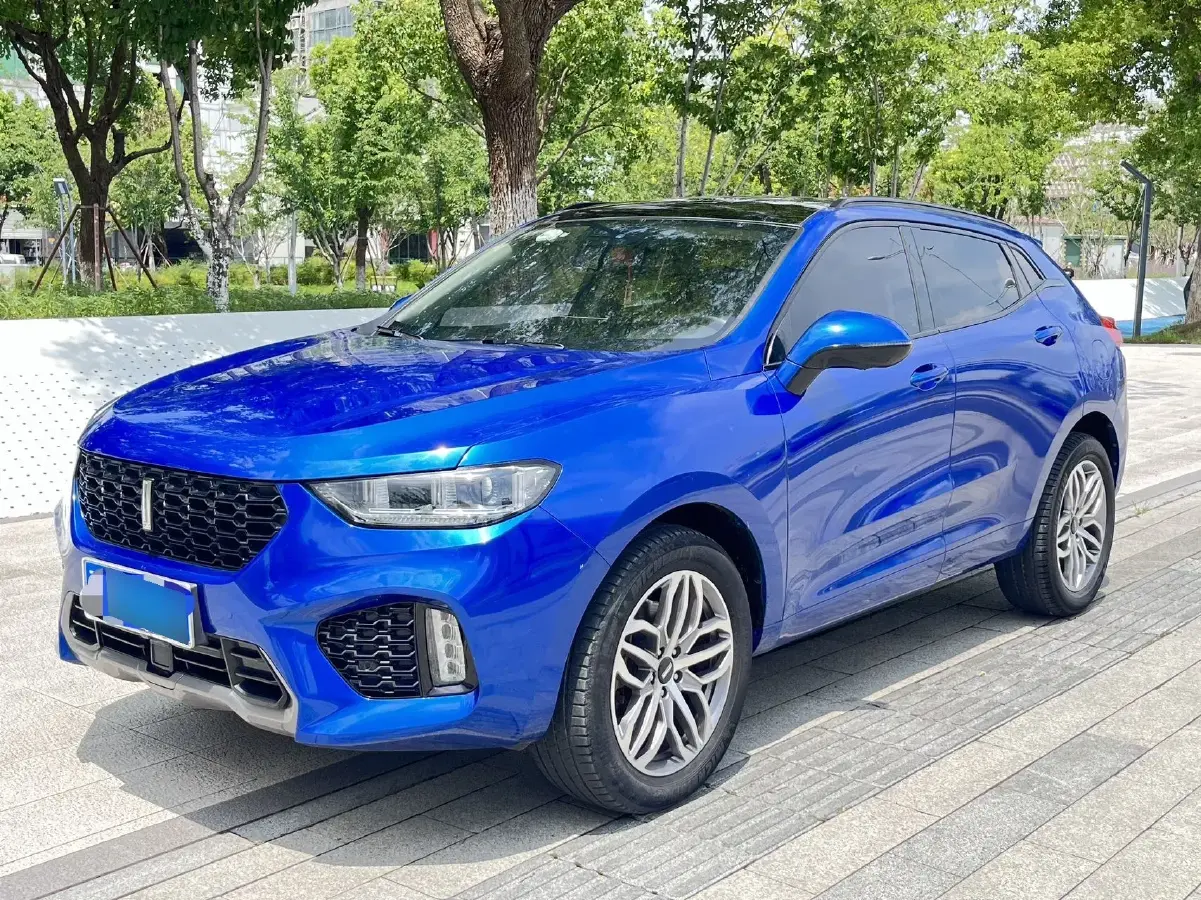 2017 WEY VV5 2.0T 197HP L4 7DCT