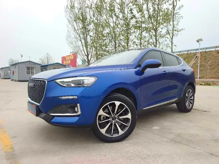 2019 Haval F5 1.5T 169HP L4 7DCT