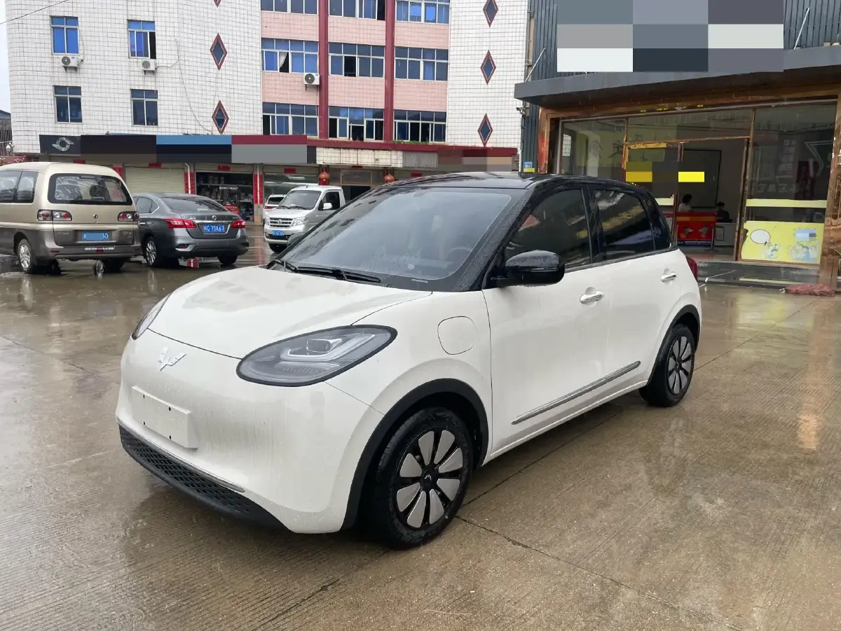 2025 WuLing BinGuo BEV